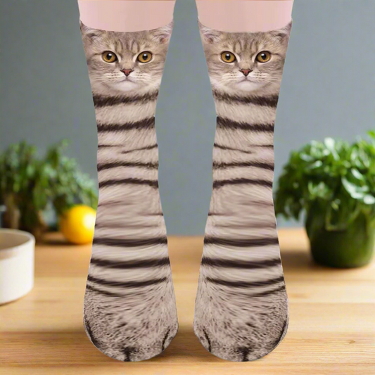 Funny Cat Socks