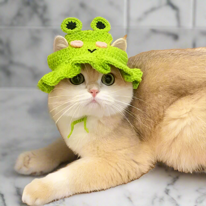 Knitted Cat Hats